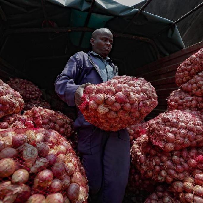 Food prices are rising as countries limit exports. Blame climate change, El Nino and Russia's war